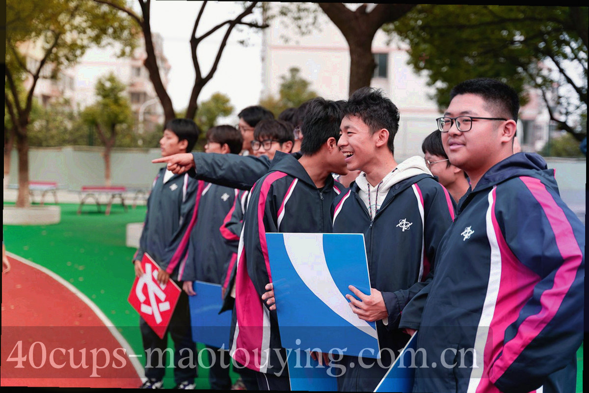 俯拍视角的多块球场拼贴，场地线条做抽象化处理